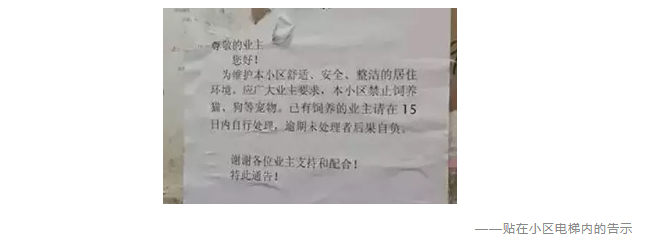 為什么不買(mǎi)保險(xiǎn)就不讓養(yǎng)狗？