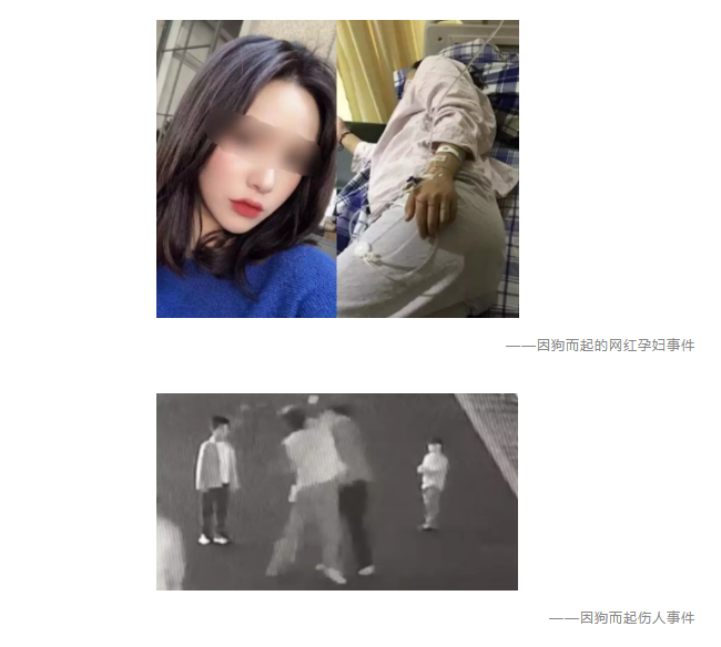 為什么不買(mǎi)保險(xiǎn)就不讓養(yǎng)狗？