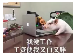 發(fā)生車禍如何快速理賠？