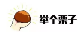 什么是年金轉(zhuǎn)換？